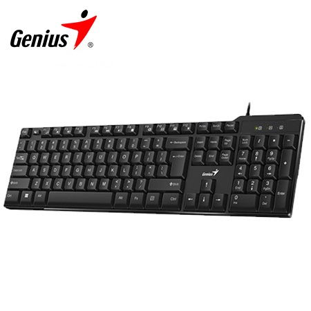 TECLADO GENIUS KB-100X USB SP BLACK (31310049401)